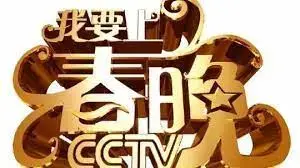 《我要上春晚》：逐梦之旅，小人物的星光闪耀之路