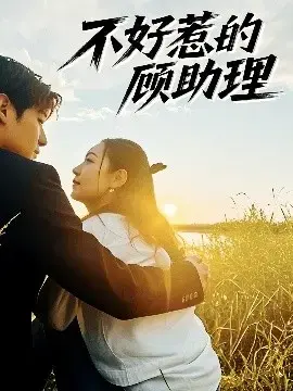 不好惹的顾助理：霸总与助理，爱情与职场的碰撞