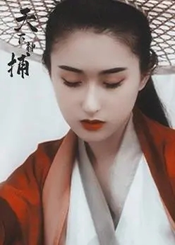 天下神捕：甄子丹的武侠传奇与惊险追捕