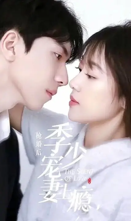 抢婚后，季少宠妻上瘾：先婚后爱，甜虐交织的豪门爱情