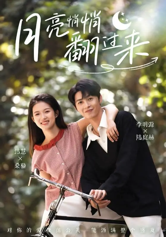 《月亮悄悄翻过来》：职场少女的逆袭之路，一场关于梦想与爱情的甜蜜冒险